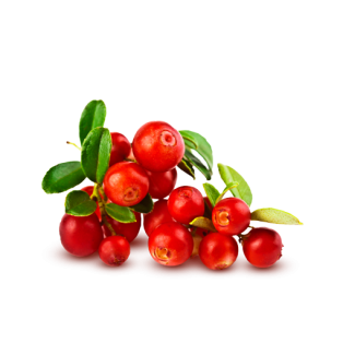 Granini Cranberry